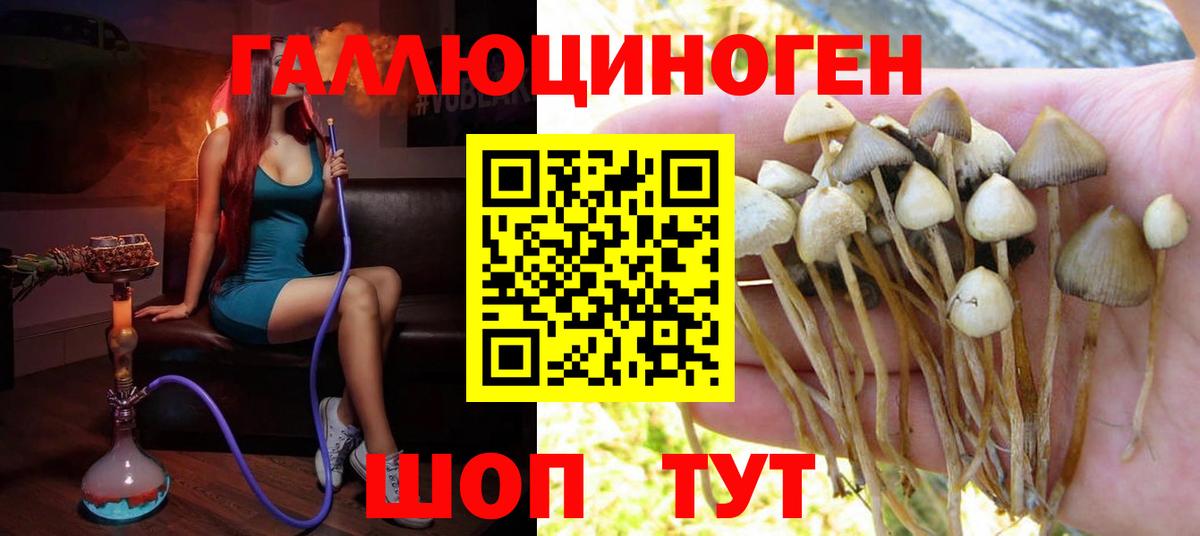 Тимашёвск  Псилоцибиновые грибы мухоморы  наркошоп  Галлюциногенные грибы Cubensis  Вход с VPN 